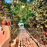 Grandpas House 招待所 Gjirokastër