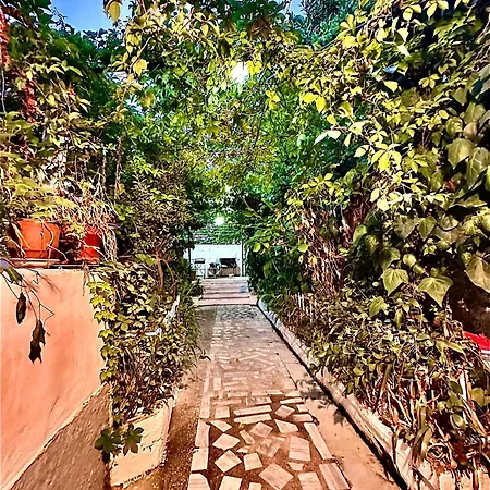 Grandpas House 招待所 Gjirokastër