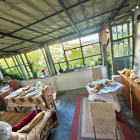 Maison d'hôtes Grandpas House